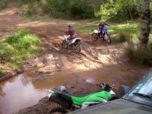 [PICT6813red[1].jpg]